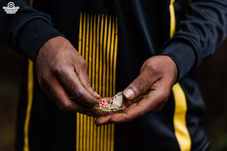 Zanzibar: Half-Day Prison Island, Tortoises and Spices Tour - Spice farm visit: the smells, the tasting, and the real meaning of the Spice Island name