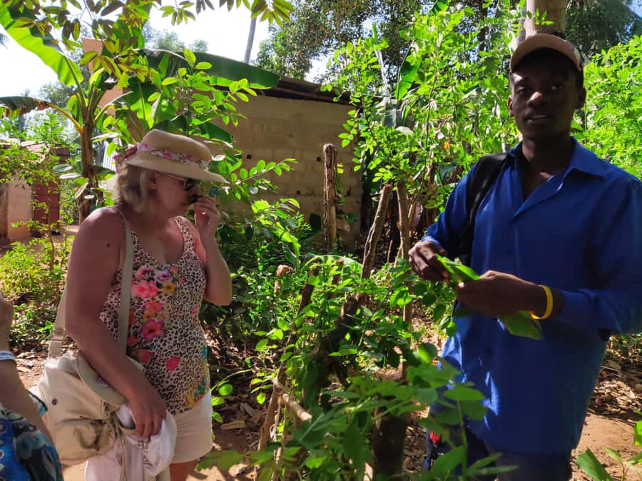 Zanzibar: Half-Day Prison Island, Tortoises and Spices Tour - Who this tour suits best, and who should consider alternatives