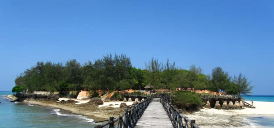 Zanzibar: Half-Day Private in Prison Island Tours - Key Highlights Worth Your Time