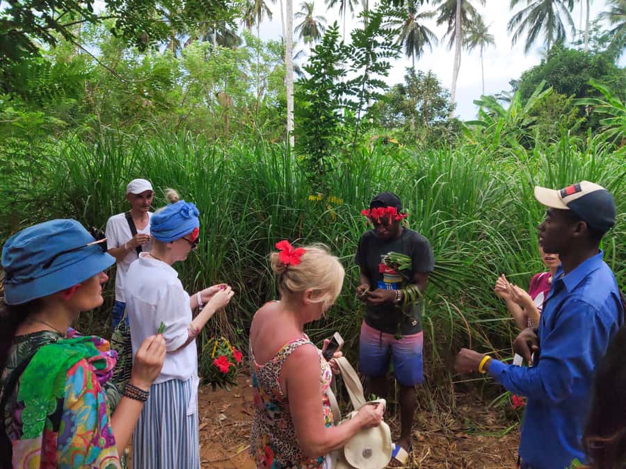 Zanzibar: Half-Day Spice Farm Tour,the flavours of Zanzibar - Jackfruit Tasting, and Why This Fruit Moment Works So Well