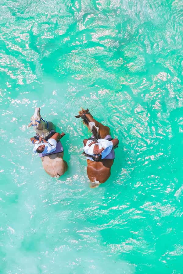 Zanzibar: Horse Riding and Kayaking with Video and Photos - Drone Video, Phone Delivery, and Why This Part Feels Worth It