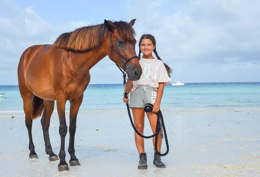 Zanzibar Horseback Riding - Where you ride in Zanzibar South, and what the scenery does for you
