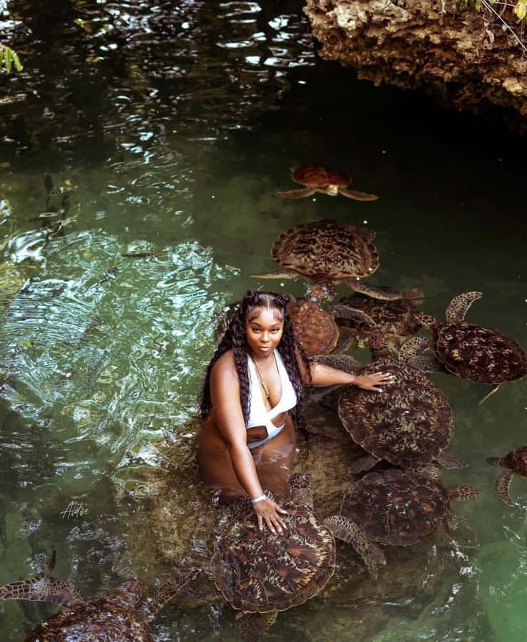 Zanzibar: Horseback Riding and Turtle Swimming Tour - The Baraka Natural Turtle Aquarium, where you wade into the lagoon
