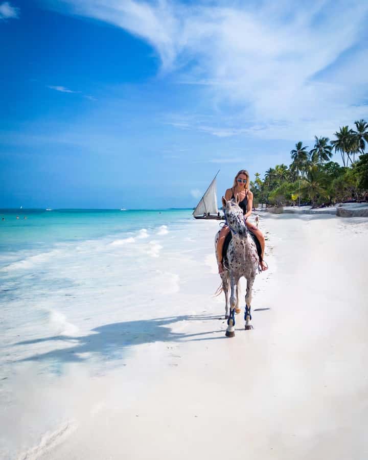 Zanzibar: Horseback Riding and Turtle Swimming Tour - Price and value: $195 per person for a rare combo