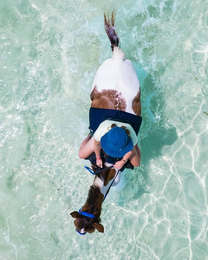 Zanzibar: Horseback Riding and Turtle Swimming Tour - Who should book this horse and turtle day
