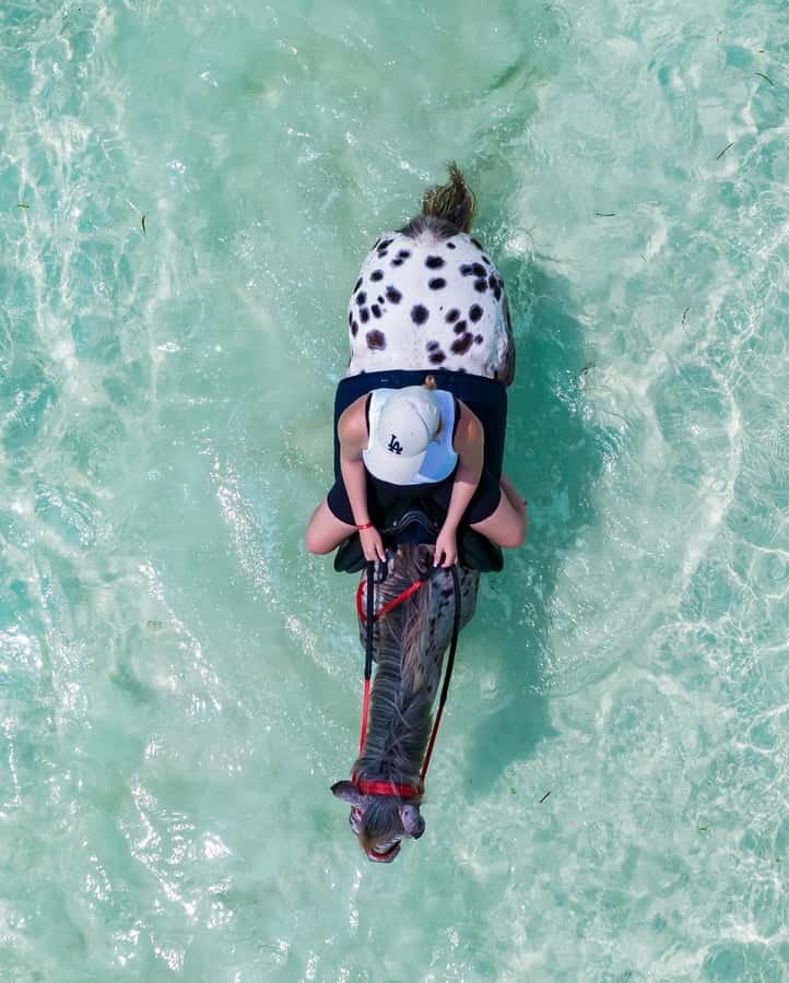 Zanzibar: Horseback Riding and Turtle Swimming Tour - Should you book the Zanzibar horseback riding and turtle swimming tour?