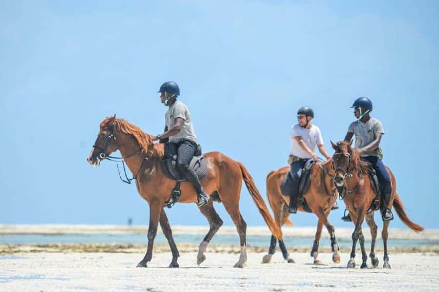 Zanzibar Horseback Riding - From your hotel to the stable: how the timing really works