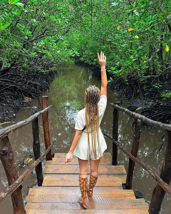 ZANZIBAR; JOZANI FOREST - Who should book this Zanzibar combo tour