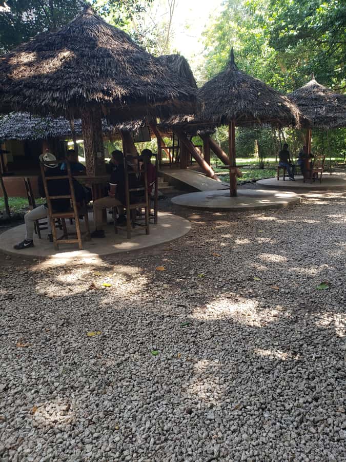Zanzibar: Jozani forest, Butterfly center & Salaam cave tour - Who should book this Zanzibar tour