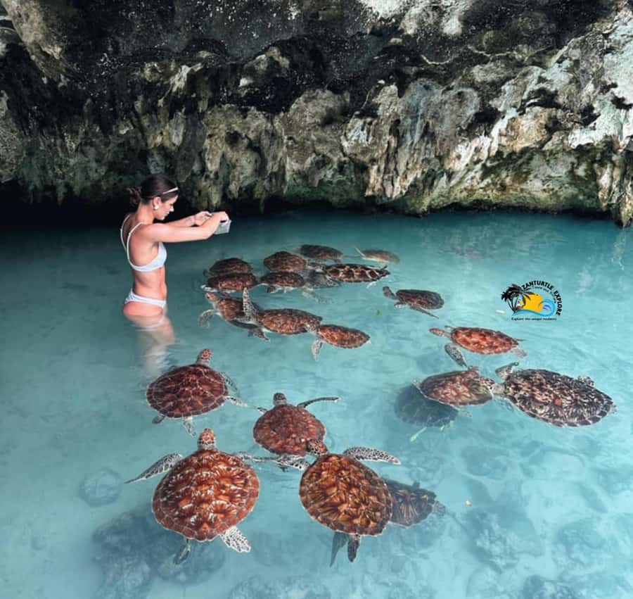 Zanzibar: Jozani Forest, Kuza Cave & Salaam Cave Aquarium - Jozani Forest walk: Red Colobus and mangrove atmosphere