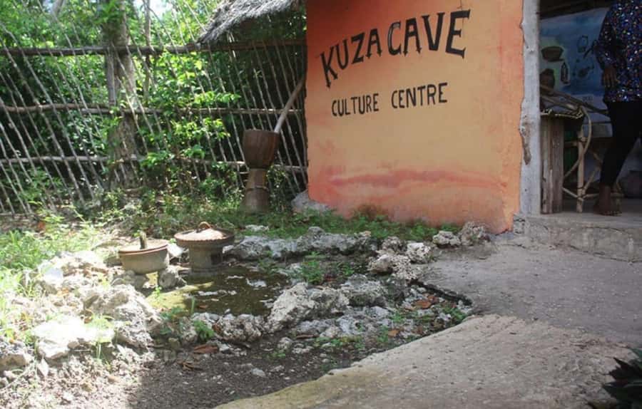 Zanzibar: Jozani forest + Kuza cave visit & Paje beach tour - Jozani Forest National Park: Finding Rare Red Colobus and More