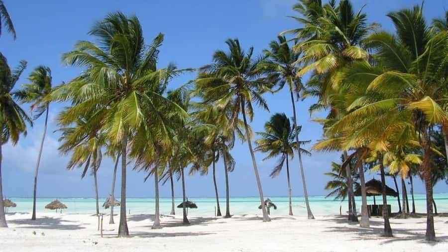 Zanzibar: Jozani forest + Kuza cave visit & Paje beach tour - Paje Beach on Zanzibar’s South East Coast: White Sand, Swimming, and Easy Relaxing