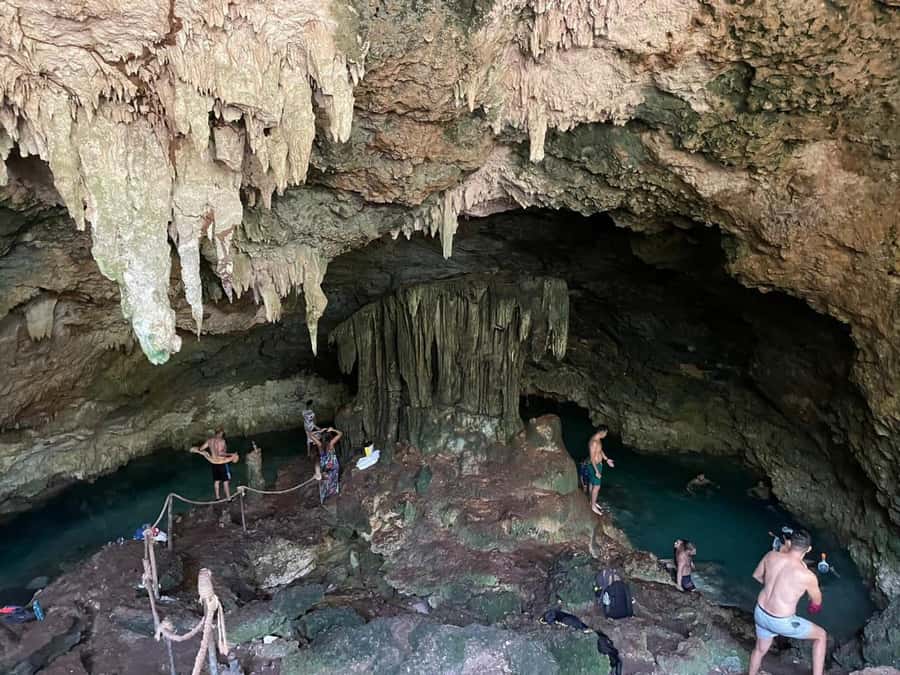 Zanzibar: Jozani forest + Kuza cave visit & Paje beach tour - What to Pack for a Cave Swim and a Beach Finish