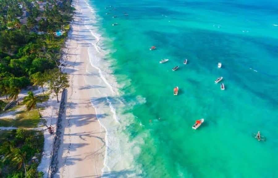 Zanzibar: Jozani forest + Kuza cave visit & Paje beach tour - Who This Tour Suits Best (And Who Might Skip It)