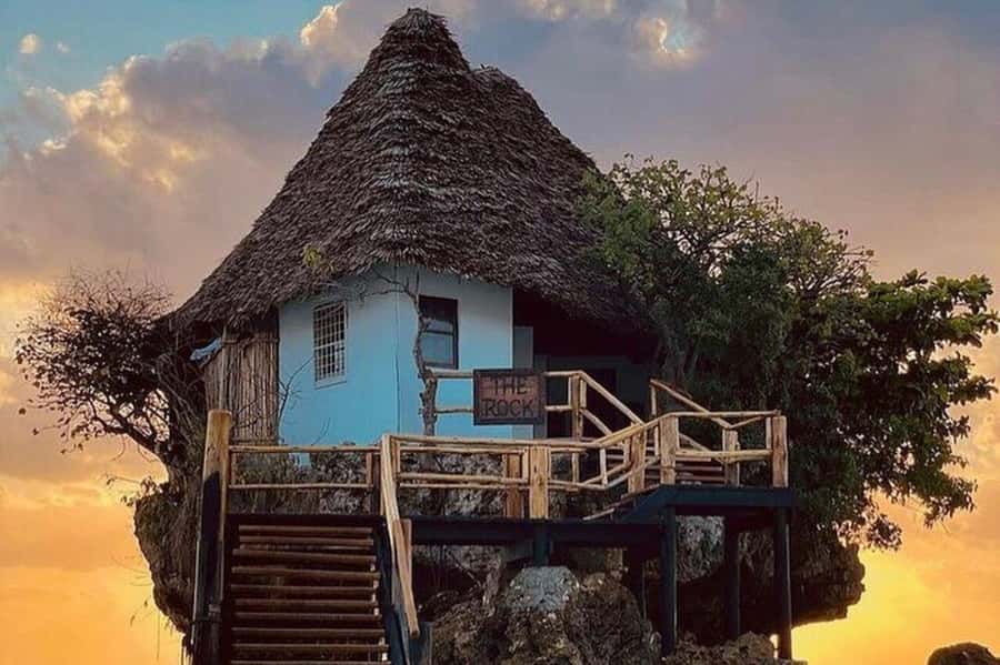 ZANZIBAR: Jozani Forest Monkey Tour and The Rock Restaurant - Jozani Chwaka Bay National Park: mangroves, mahogany, and real ecosystem variety
