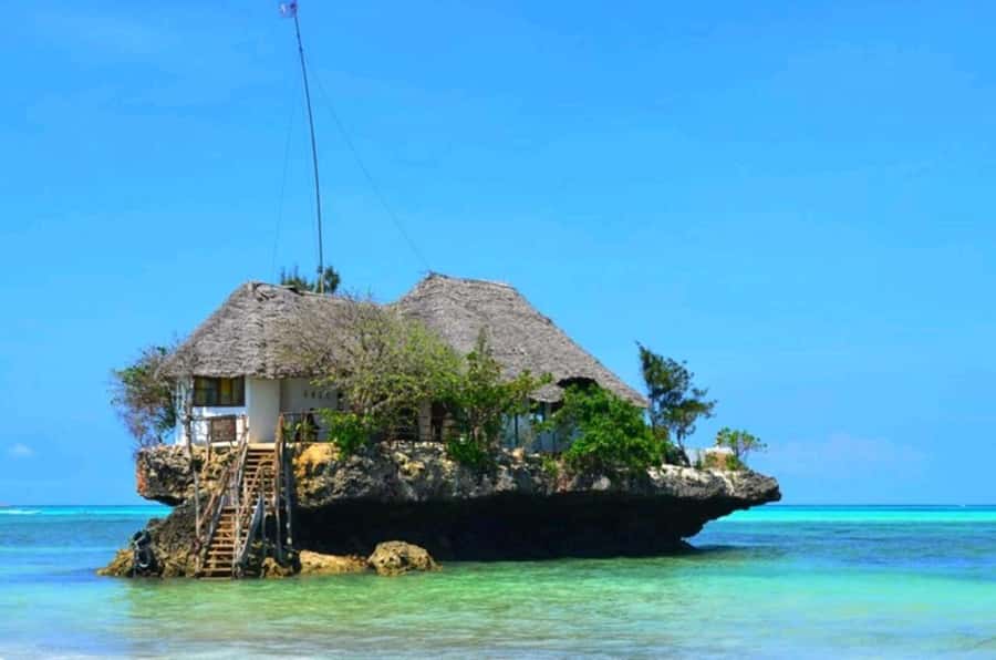 ZANZIBAR: Jozani Forest Monkey Tour and The Rock Restaurant - The 6-hour structure: two hours of jungle time, then Pingwe by the sea
