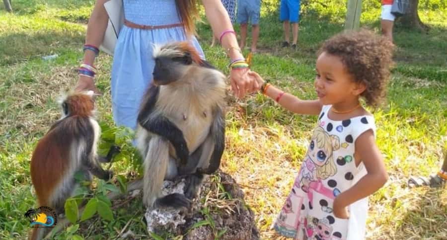Zanzibar: Jozani Forest National Park Guided Tour - Language, private group setup, and how to avoid surprises