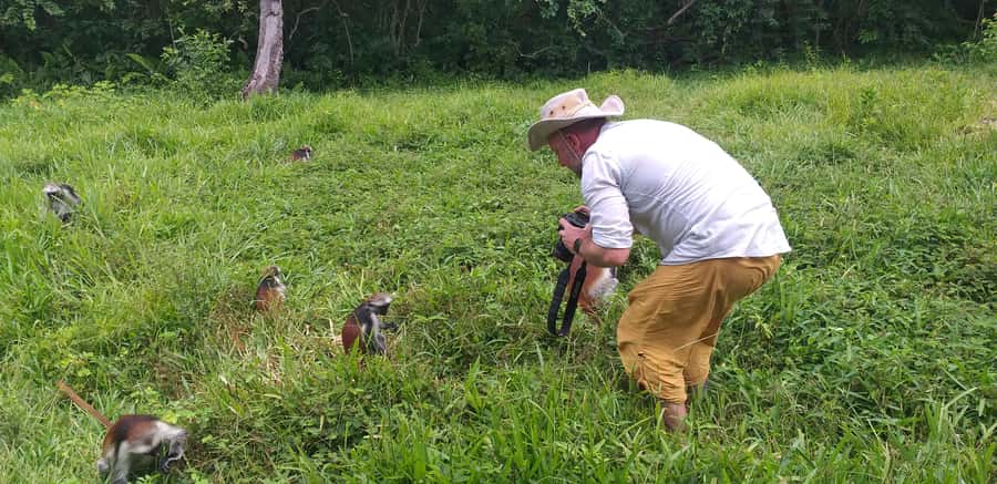 Zanzibar: Jozani Forest & Red Colobus Monkeys Private Tour - Key Things That Make This Tour Worth It