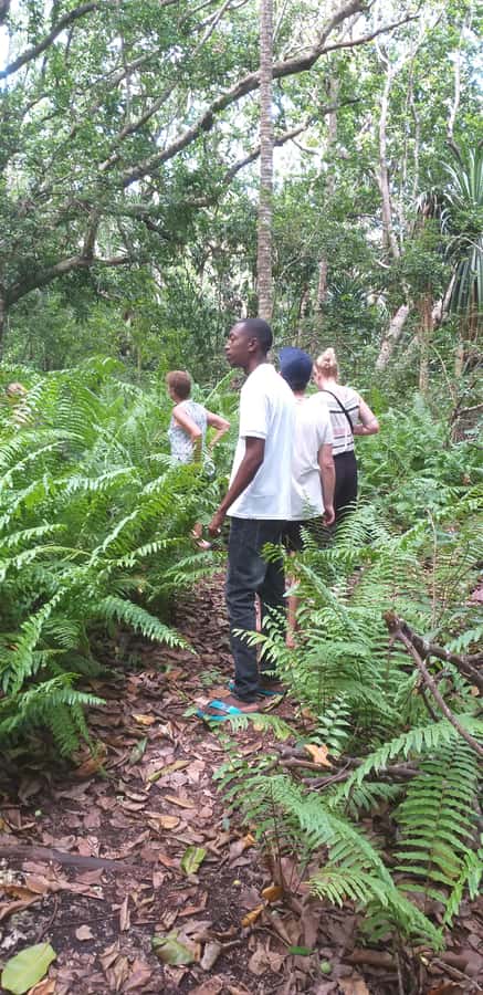 Zanzibar: Jozani Forest & Red Colobus Monkeys Private Tour - Who Should Book This Private Eco Tour?