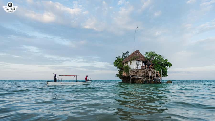 Zanzibar: Jozani Forest,Red colobus,the Rock Restaurant tour - Key things you should know before you go