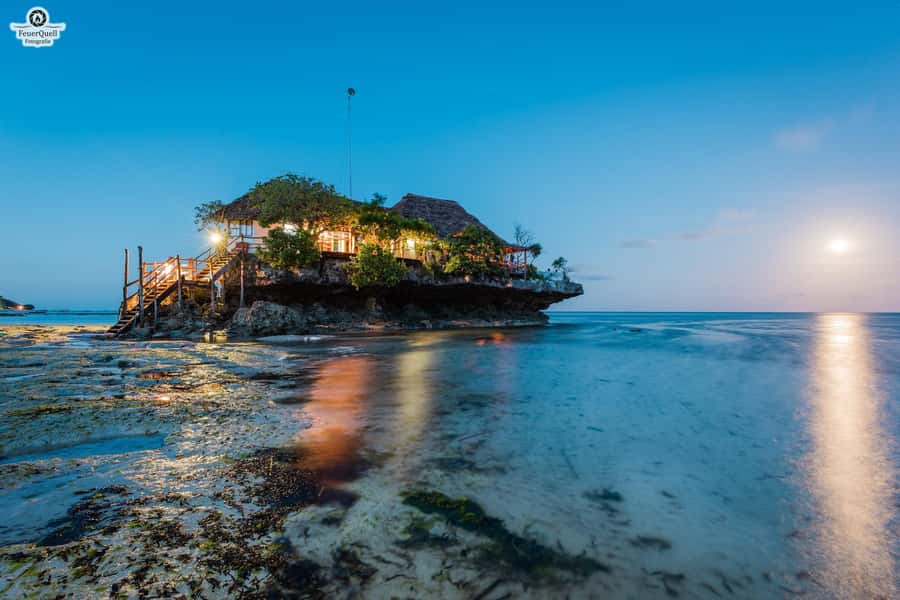 Zanzibar: Jozani Forest,Red colobus,the Rock Restaurant tour - A one-hour guided walk, and why the guide quality matters