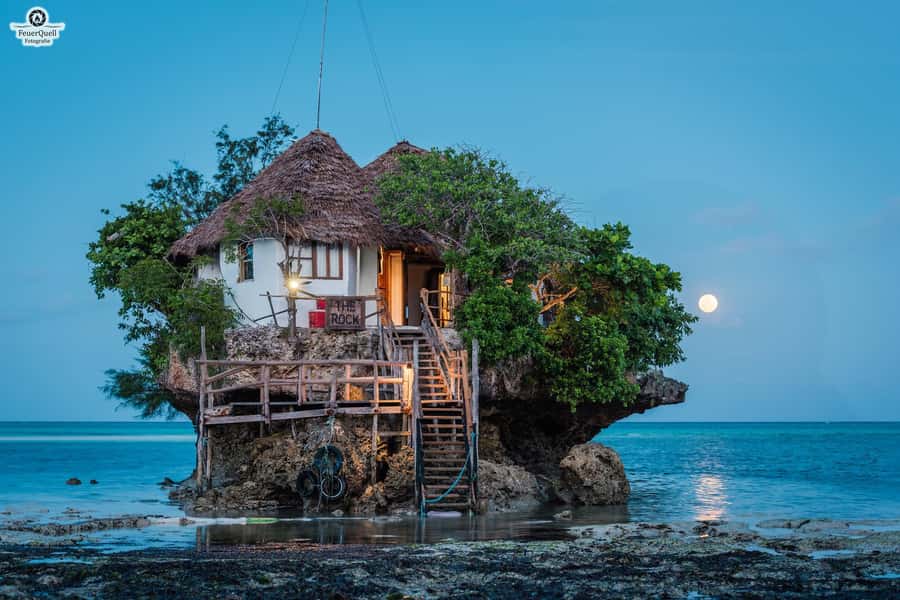 Zanzibar: Jozani Forest,Red colobus,the Rock Restaurant tour - Should you book the Jozani Forest and Rock Restaurant tour?