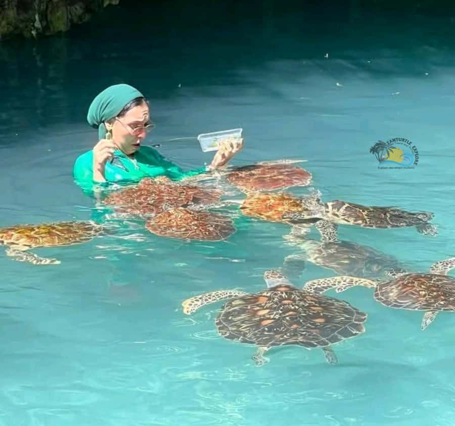 Zanzibar: Jozani Forest & Salaam Cave Sea Turtles Swim Tour - Timing, guides, and language expectations