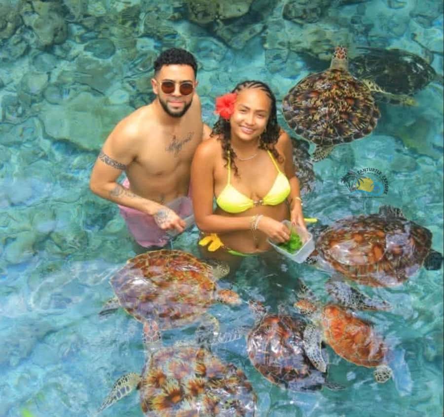 Zanzibar: Jozani Forest & Salaam Cave Sea Turtles Swim Tour - What to bring (and what not to do)