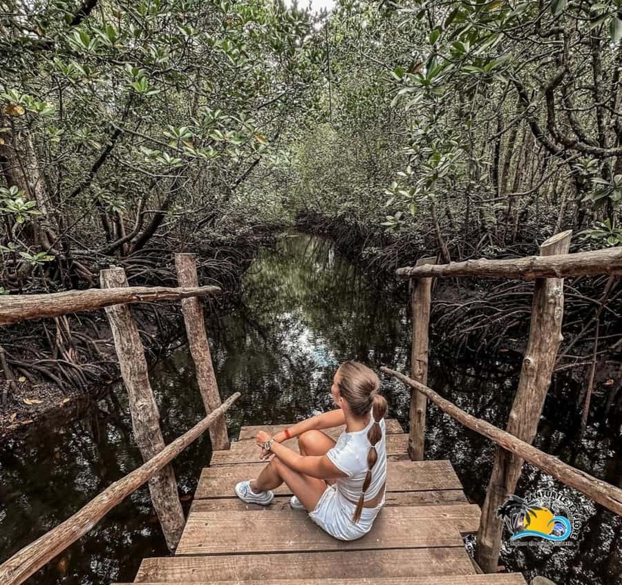 Zanzibar: Jozani Forest & Salaam Cave Sea Turtles Swim Tour - Who should book this tour, and who should skip it