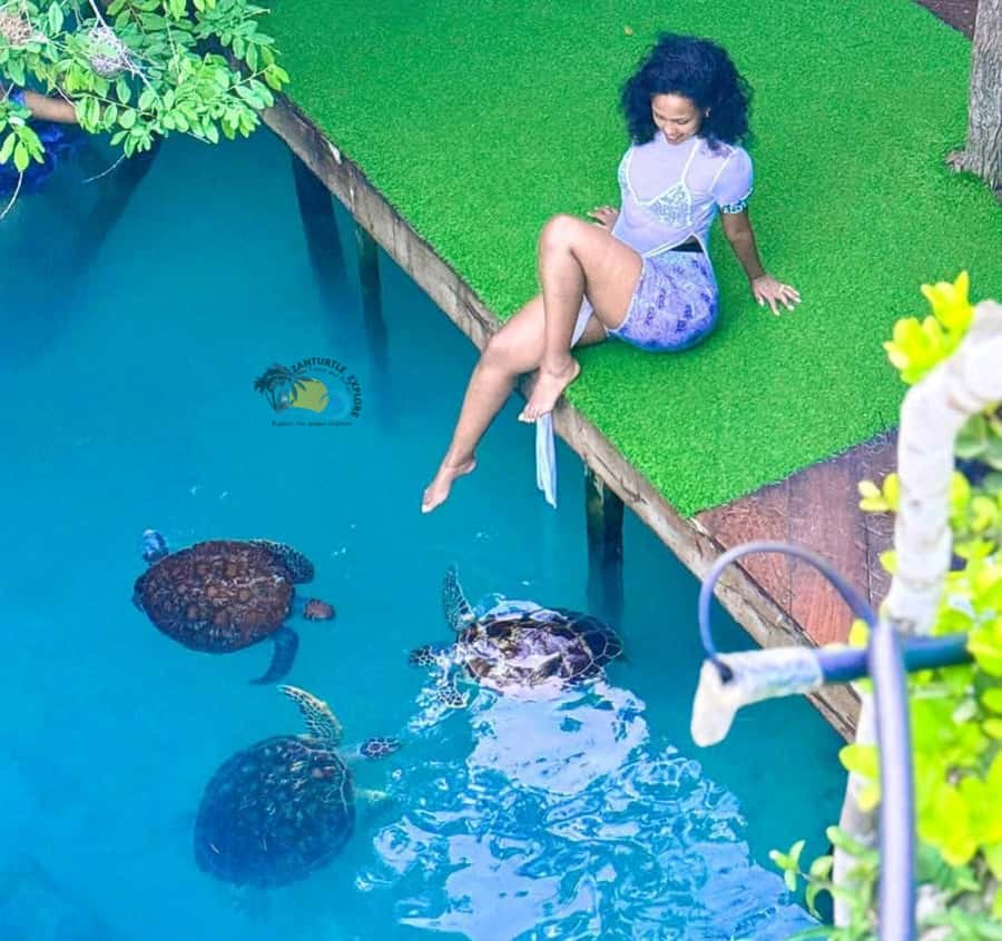 Zanzibar: Jozani Forest & Salaam Cave Sea Turtles Swim Tour - Mangroves, medicinal plants, and bird spotting on the boardwalk