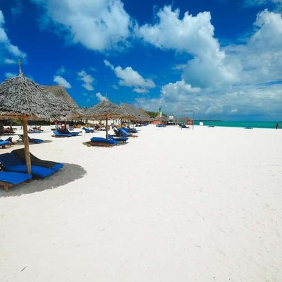 ZANZIBAR: Jozani Forest,Salaam Cave, The Rock & Blue Lagoon - Salaam Cave: Turtle Swim in a Natural Pool Setting