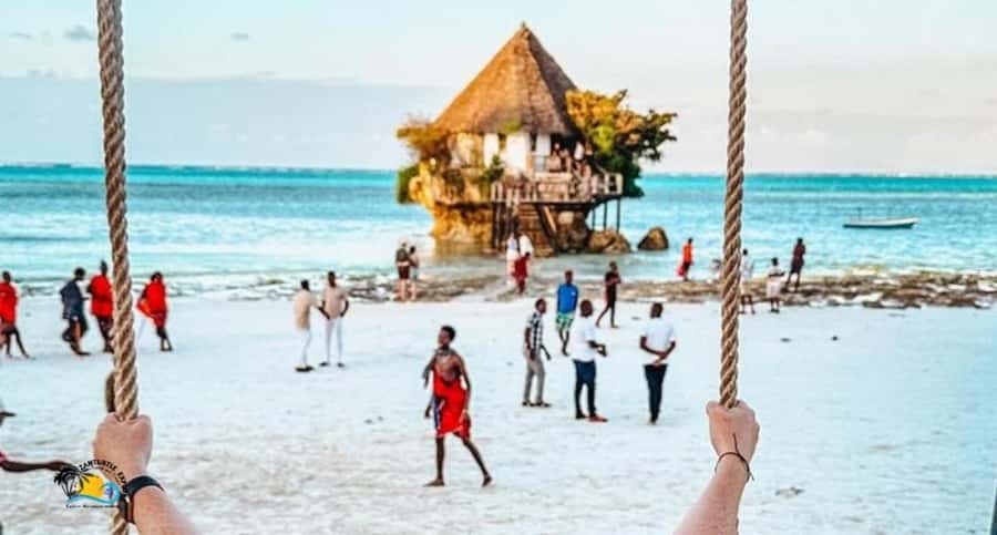 Zanzibar: Jozani Forest, Salaam Cave & The Rock Restaurant - Jozani Chwaka Bay National Park, mangroves first, monkeys overhead