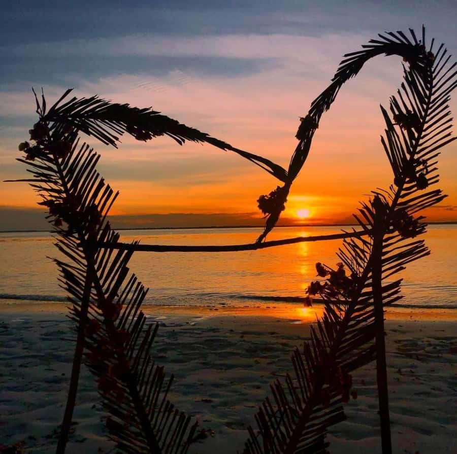 Zanzibar: Jozani Forest, Salaam & Maalum Caves and Sunset - Jozani Forest National Park: Red Colobus and Mangrove Wildlife
