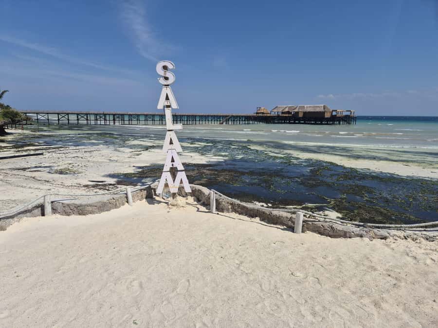 Zanzibar: Jozani Forest & Sea Tortoises Sanctuary Tour - Key Highlights You’ll Notice Fast