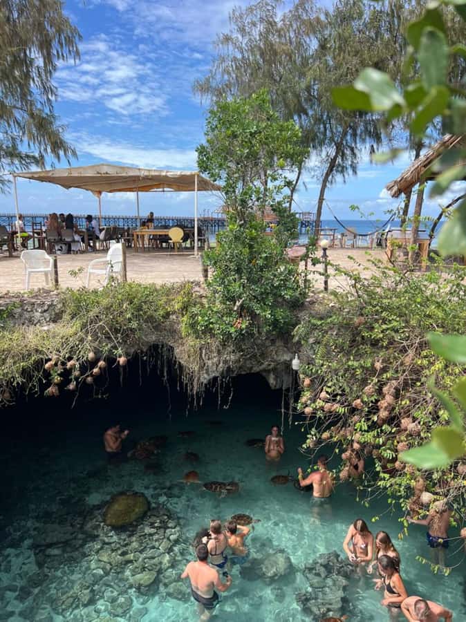 Zanzibar: Jozani Forest & Sea Tortoises Sanctuary Tour - The Transfer to Kizimkazi: Time for a Reset