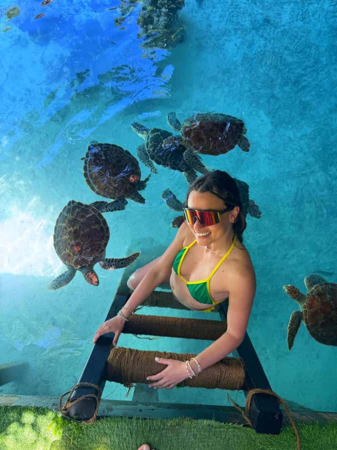 Zanzibar: Jozani Forest & Sea Tortoises Sanctuary Tour - Swimming Tips That Make a Big Difference (Yes, Bring Water Shoes)