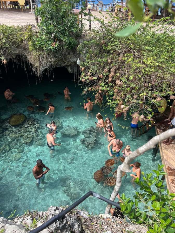 Zanzibar: Jozani Forest & Sea Tortoises Sanctuary Tour - Getting There From Your Hotel: Drive Time and Timing