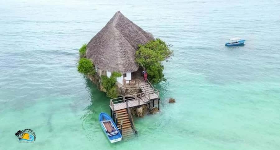 Zanzibar: Jozani Forest Tour and The Rock Restaurant - Your guide and the wildlife rules that keep it safe