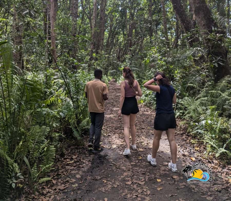 Zanzibar: Jozani Forest Tour and The Rock Restaurant - What to bring, what to skip, and small comfort tips