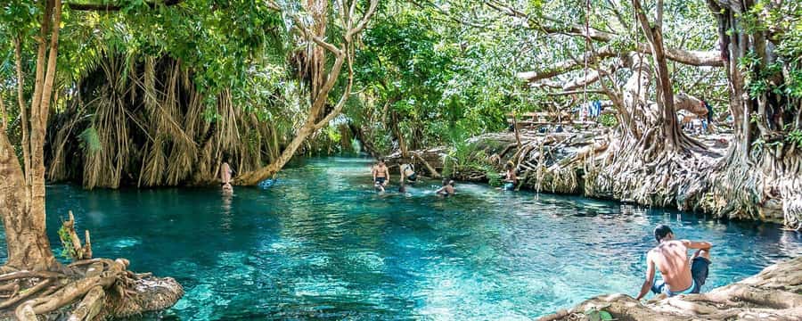Zanzibar: Jozani Forest Watching Colobus Monkeys Guided Tour - Why Jozani Forest is worth your time on Zanzibar