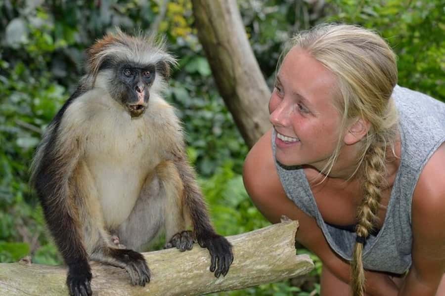 Zanzibar: Jozani Forest Watching Colobus Monkeys Guided Tour - Getting picked up, and how logistics affect your day