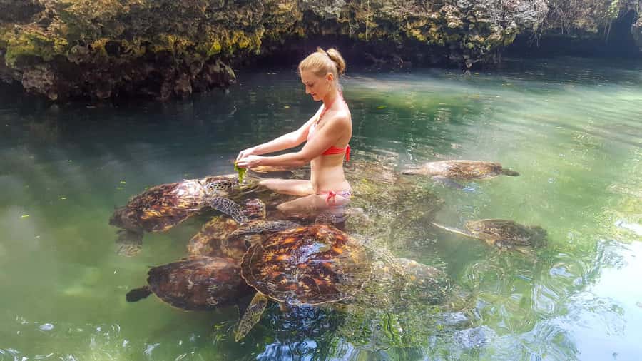 Zanzibar: Maasai village and Nungwi turtles experience trip - Key Takeaways Before You Go