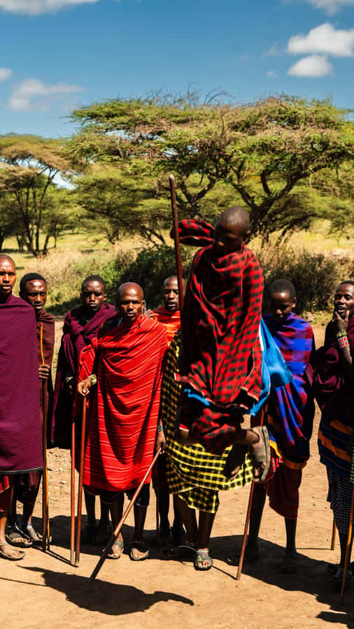 Zanzibar: Maasai village and Nungwi turtles experience trip - Price and Value: Is $50 a Fair Deal?