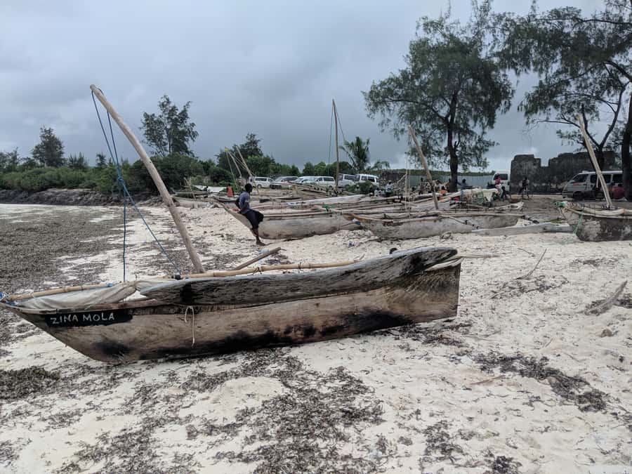 Zanzibar: Mnemba Atoll Marine Reserve Snorkeling Tour - Who this snorkeling tour is best for