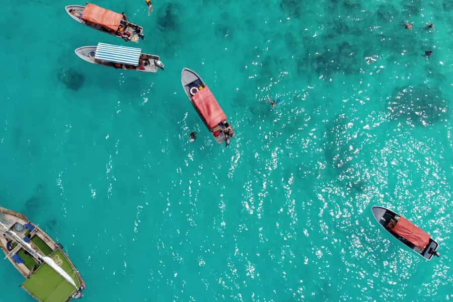 Zanzibar: Mnemba Island Dolphin and Snorkeling Tour - Why Mnemba’s dolphins plus reef snorkeling is a standout Zanzibar combo
