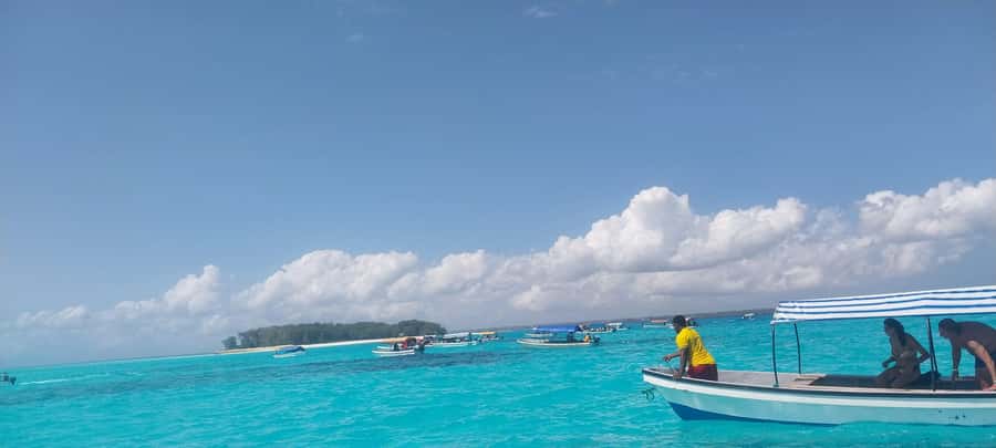 Zanzibar: Mnemba Island Dolphin and Snorkeling Tour - Price and value at about $40: what you’re really paying for