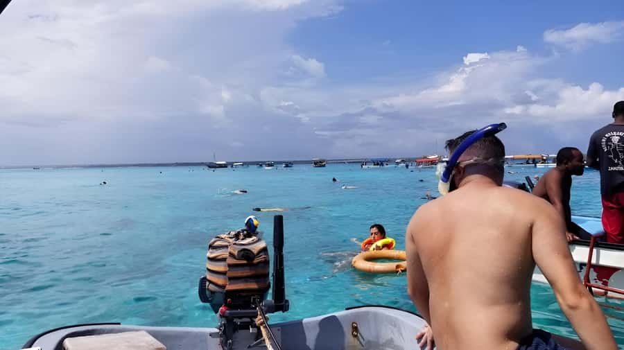 Zanzibar: Mnemba Island&Dolphin Swim With Optional Lunch - Tips so your day is smoother on the water