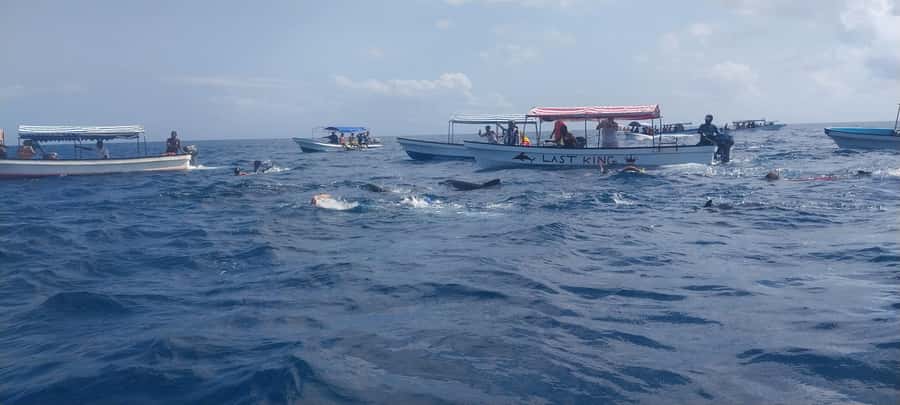 Zanzibar: Mnemba Island Snorkeling and Dolphin Tour - Seafood lunch on the beach, what to expect and how early it can feel