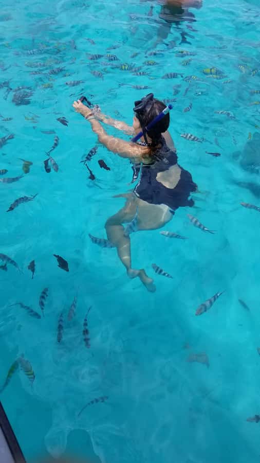 Zanzibar: Mnemba Island Snorkeling and Dolphin Tour - Boat ride, timing, and what to do if you get seasick