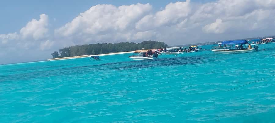 Zanzibar: Mnemba Island Snorkeling and Dolphin Tour - Meeting points and starting on time, the logistics that can make or break it